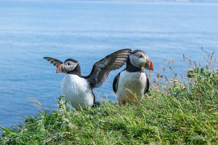 1 Day Moray Coast Tour with Speyside Whisky from Inverness - Photo 1 of 7